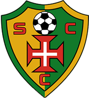 https://img.scstsc.cn/img/football/team/c720ce34a8dbdda00e58a8ade2358911.png